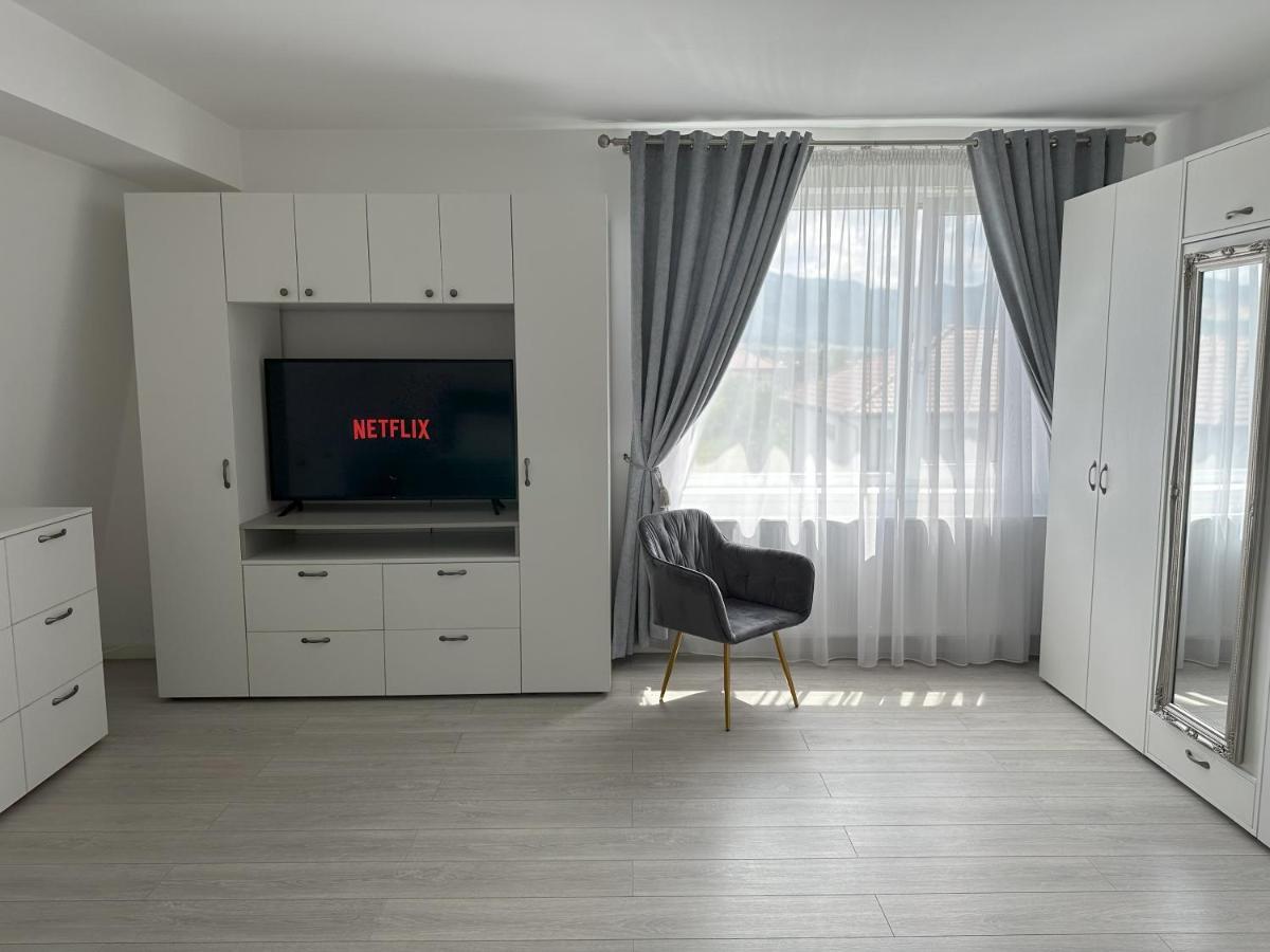 Elisio - Maple House Διαμέρισμα Ghimbav Εξωτερικό φωτογραφία